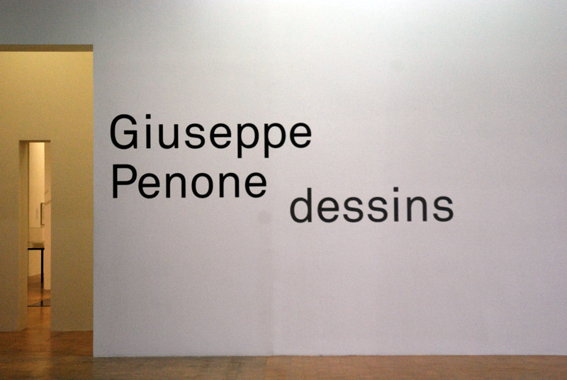 Giuseppe Penone