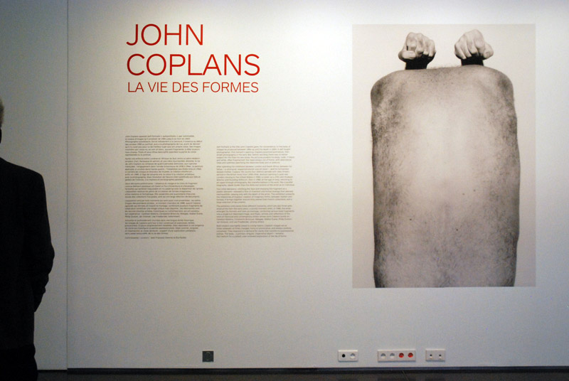 John Coplans; La vie des formes