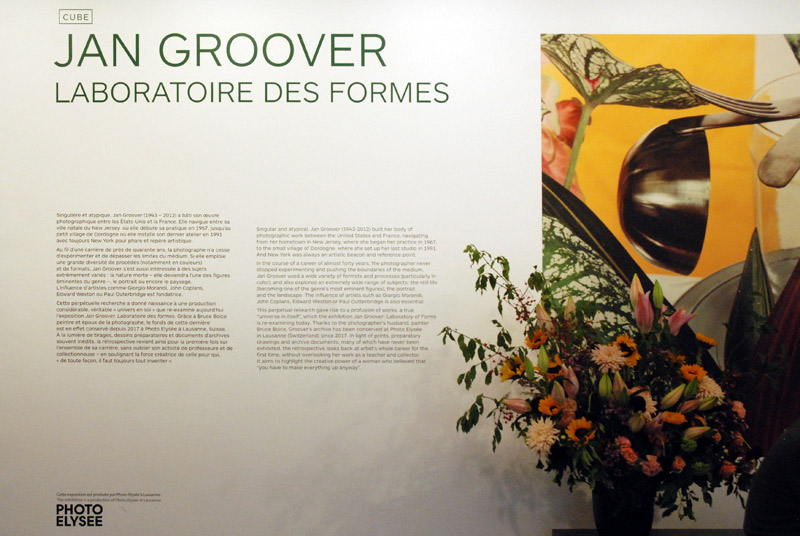 Henri Cartier-Bresson avec Martin Parr Ð Rconciliation; &amp; Jan Groover - Laboratoire des formes