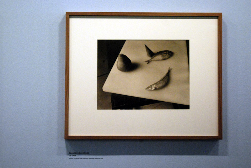Henri Cartier-Bresson avec Martin Parr Ð Rconciliation; &amp; Jan Groover - Laboratoire des formes