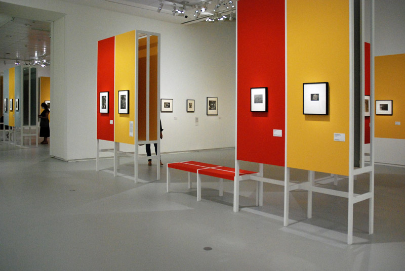 Chefs-d'Ïuvre photographiques du MoMA; La collection Thomas Walther;