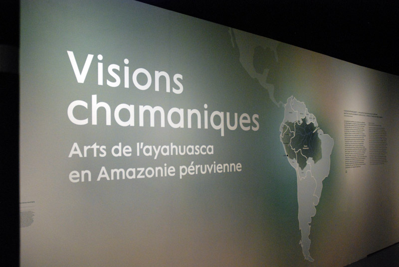 Visions chamaniques.